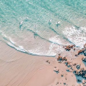 Meet your Posher, Alicia